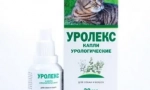 Urholaks - první pomoc na onemocnění orgánů urogenitálního systému u koček